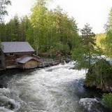 Bears trail - Myllykoski